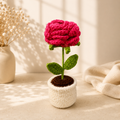 Handmade Crochet Rose Flower Pot | Forever Bloom Decor